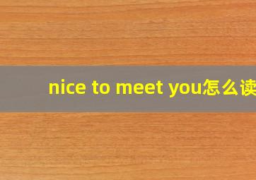 nice to meet you怎么读